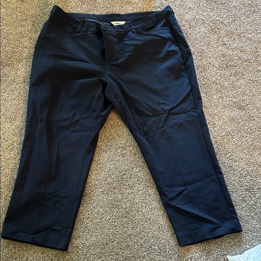 Women’s Navy Blue Pants